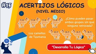 Acertijos Lógicos 15/24 - Cuatro Camellos de Tasmania (NIVEL MEDIO | ENTRENA TU CEREBRO)