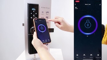 Cardoria Tuya App Operation Video