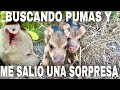 Los Animales Del Desierto. QUE SORPRESAS!!