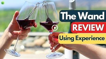 The Wand Review | PureWine Wand Purifier #thewand #winepurifier