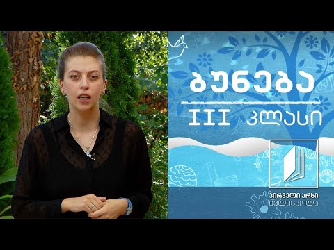 ბუნება, III კლასი - მზის სისტემა - მთვარე #ტელესკოლა