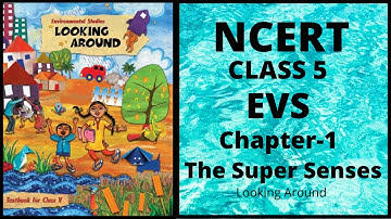 NCERT Solutions Class 5 EVS Chapter 1 Super Senses