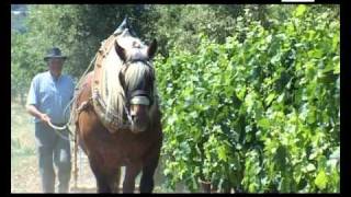 La ferme des Rosières, Secrets de Terroir en Drôme Provençale