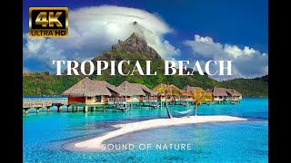 4K Video | 🌅 FLY over TROPICAL BEACH ISLAND | Relaxing and soothing music | Remove stress 🌌 by SOUND OF NATURE 790 views 2 years ago 1 hour, 13 minutes