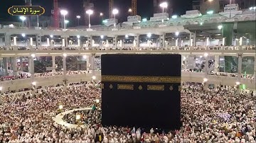 سورة الانسان ياسر سلامة