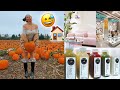 Shopping for the new house, doing a juice cleanse + pumpkin patch!