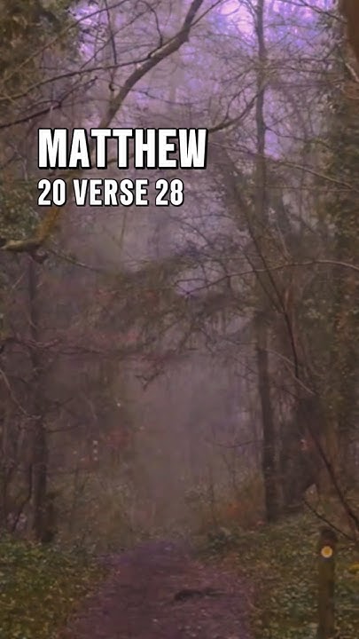 matthew-20-verse-28-god-versefromlord-bible-love-trustgodsword