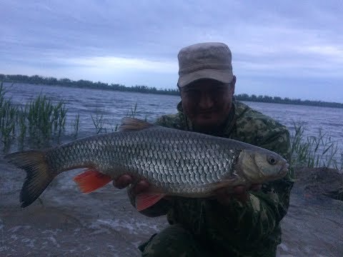 рыбалка на водохранилище платно