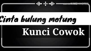 CINTA BULUNG MOTUNG (CBM) Karoke |Kunci Cowok -Lirik- lagu Simalungun