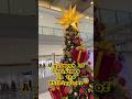 Christmas in the Philippines #shorts #trending #tweening #christmas #viralshort #love #fyp #ytviral