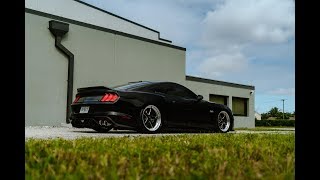 Bagged Mustang GT | @SlammedS550 (4K)