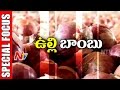 Onion price hike; middlemen earn profits