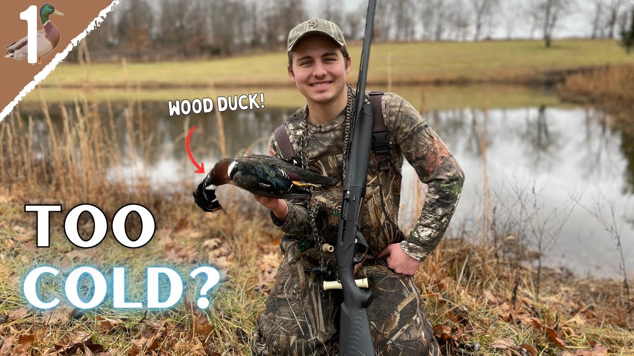 Can TOO MUCH Cold Weather AFFECT Duck Movement? TN Duck Hunting 2022