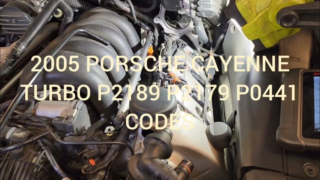 2005 PORSCHE CAYENNE TURBO P2189 P2179 P0441 CODES HOW TO DIAGNOSE
