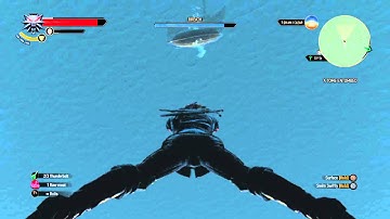 The Witcher 3: Wild Hunt Falling from space glitch