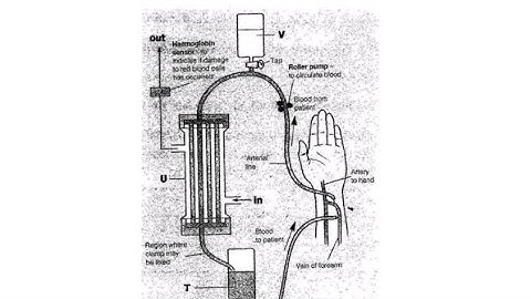 BIOLOGY G12 PAPER 2 2017 Q4 GCE