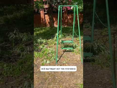 Шаровидные (самостригущиеся) ивы: почему не стоит их сажать🌿 #ива #сад #деревья