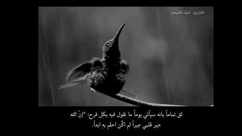 راحة نفسية حالات واتس اب القارئ نايف الفيصل، سورة الفاتحة