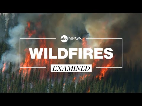 How climate change and forest management make wildfires harder to contain.