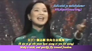 鄧麗君 Teresa Teng 向自由飛翔  Fly Toward Freedom