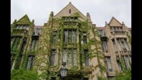 university of chicago library