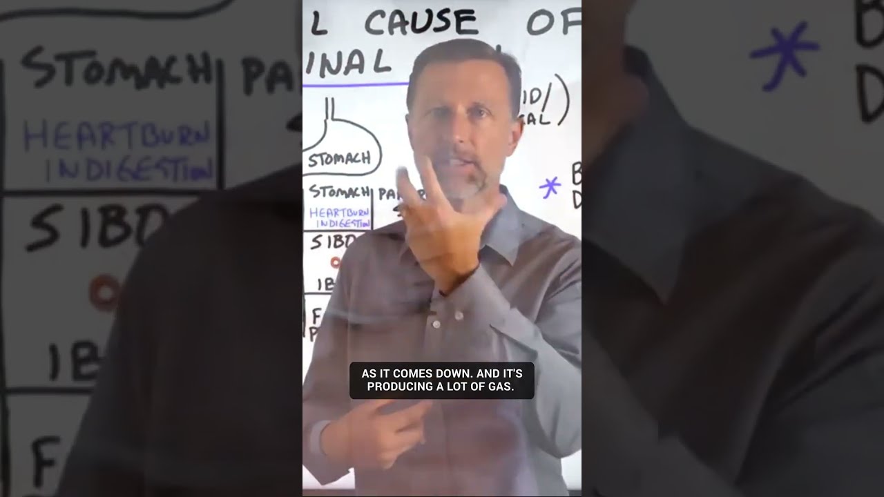 Dr Berg Explains What SIBO Is And How To Handle It Drberg Sibo Stomachacid Health Ketodiet