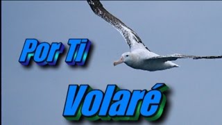 Por Ti Volaré  (For You I Will Fly) - Andrea Bocelli (Subt. en español e inglés)