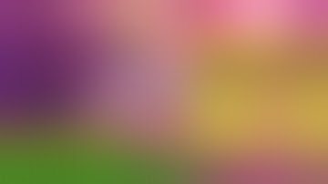 Wild Fireworks : เกมพลุ pg ดอกไม้ไฟ ฟรีเกมหาโคตรยาก!!