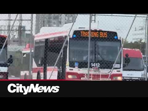 Video shows TTC bus being taken for joyride