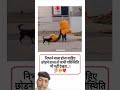 #trending #viralvideo #youtubeshorts #story #video #respect #shorts #viralvideo #support #subscribe