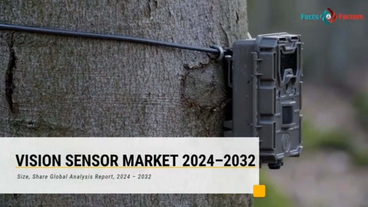 Vision Sensor Market Size (2022-2030) Share, Industry Trends, Growth, Challenges, and Forecast : FNF