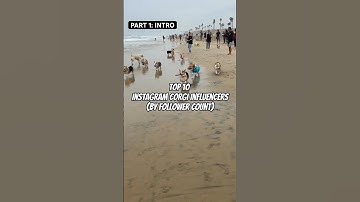 Top 10 Corgi Influencers On Instagram: Part 1 - Intro #shorts #corgi