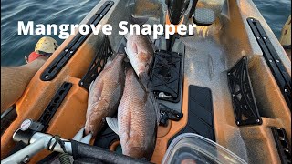 We took an Old Town Sportsman 120 PDL Offshore and Caught Snapper