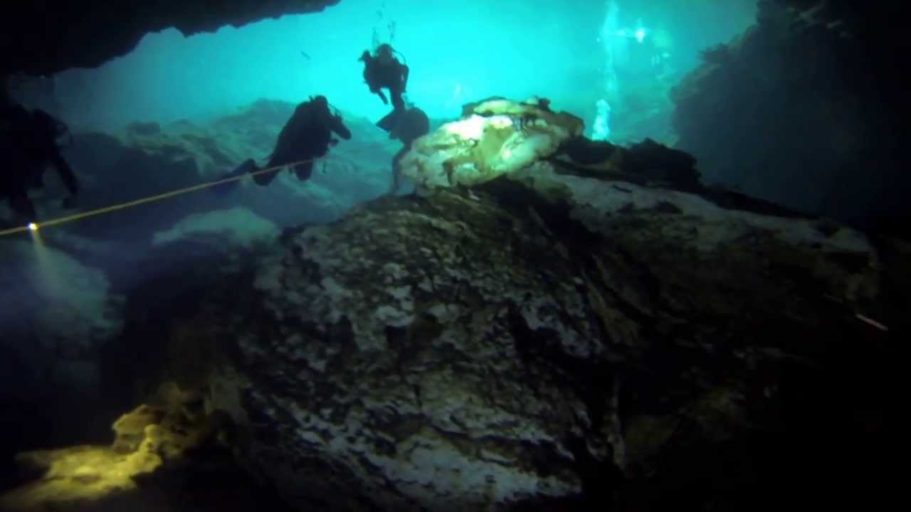 Дайвинг в Мексике 2013   Divingtime.net