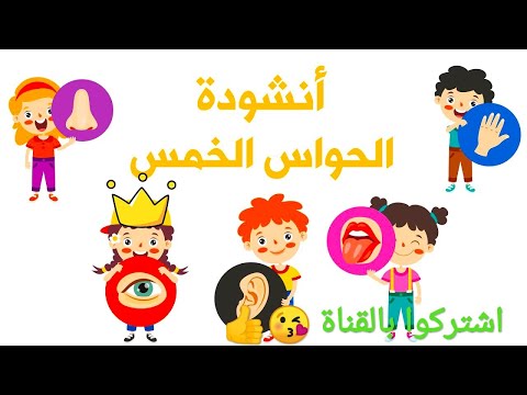 أنشودة الحواس الخمس للأطفال انا انسان لي إحساس رووعة