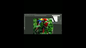 How To Create Blur Effect in Photoshop