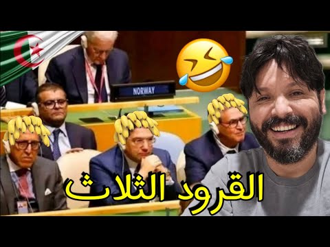 الخرياشة بقاو بلا نعاس بسبب الزازاير بعد ما انسحبت فرنسا وتراجعت أمريكا وانتصرت البوليساريو تحيا