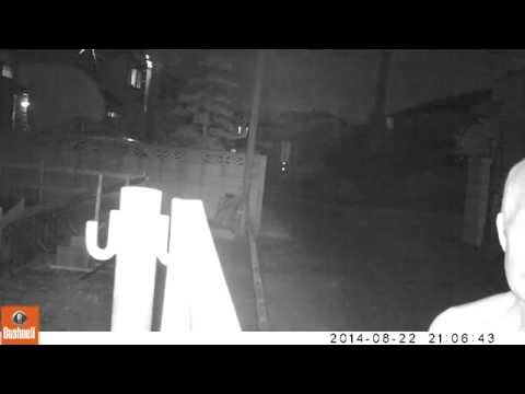 警察に通報後の犯人の言動 -2