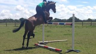 Jumping 1m40 Bareback!!