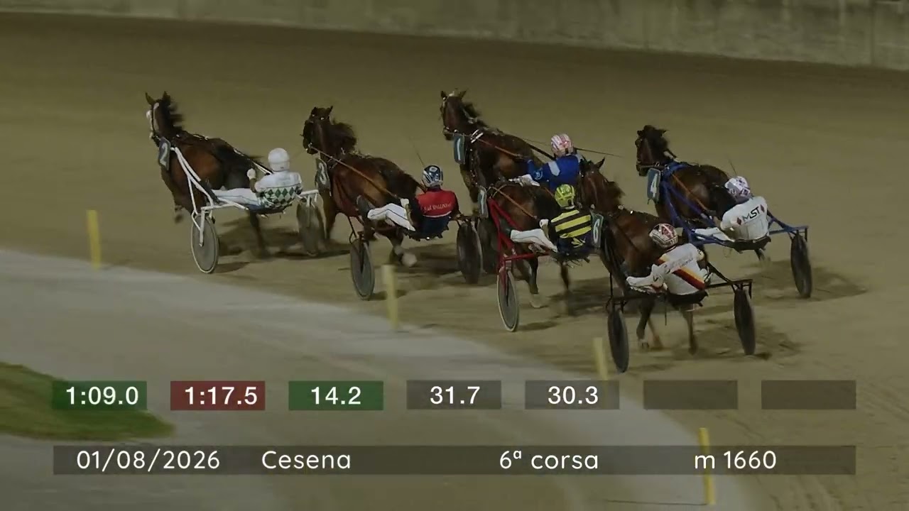 2026 08 01 | Corsa 6 | Metri 1660 | Premio Orogel Coop