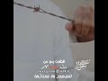 قطعت يدي من منبتها للمرهون ولا مدتها شتاوي وغناوي 159 قطعت يدي من منبتها للمرهون ولا مدتها شتاوي وغناوي 159