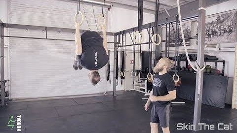 Skin the Cat : Instructional Video