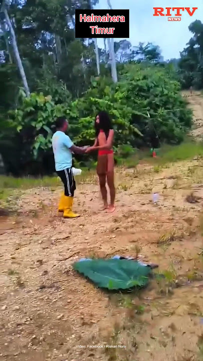 Langka! Suku Togutil di Pedalaman Halmahera Menampakkan Diri dan Sapa Pekerja #news #indonesia