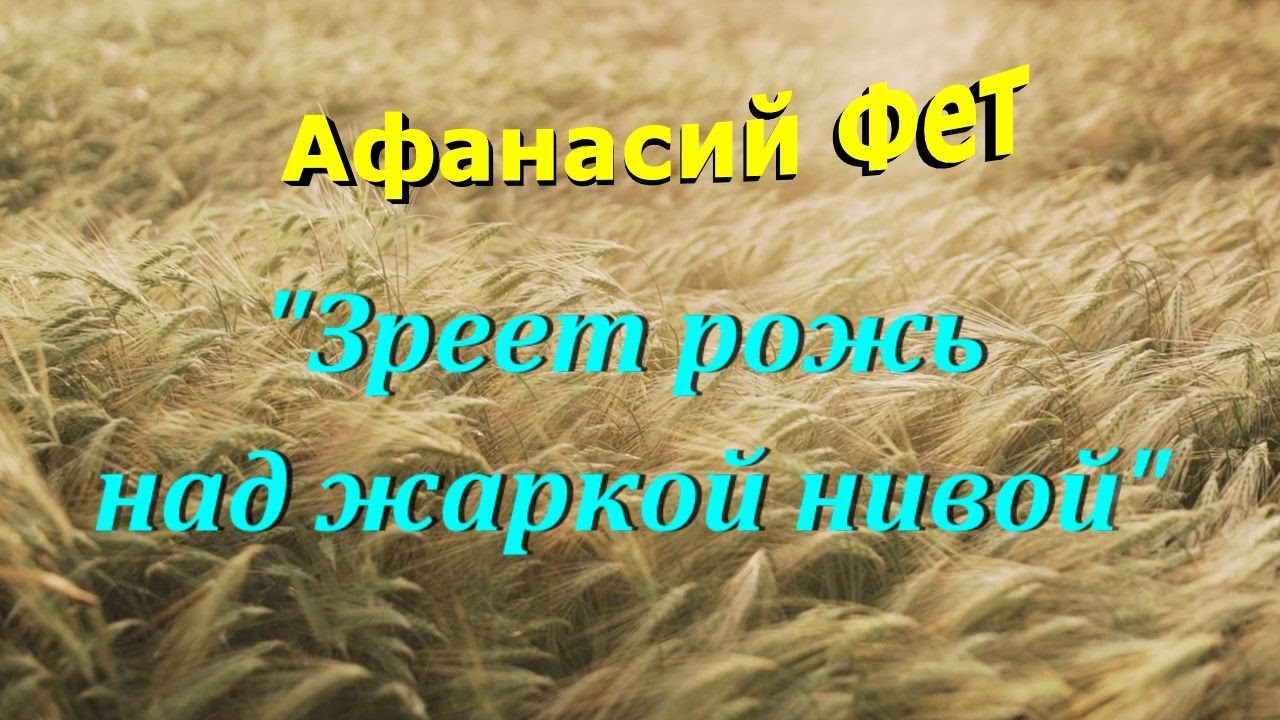 Стихотворение фета рожь. Фет рожь над жаркой Нивой. Фет зреет рожь. Зреет рожь над жаркой. Стихотворение зреет рожь над жаркой Нивой.