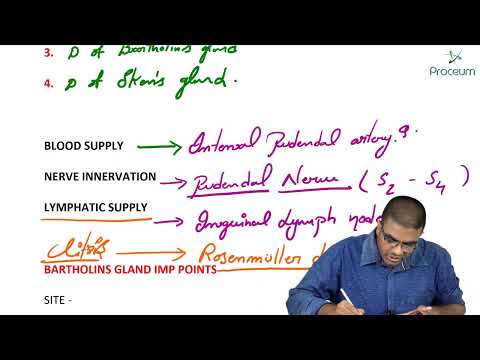 Anatomy Of Female Reproductive System Part 1 External Genitalia Vagina OBG Lectures FMGE