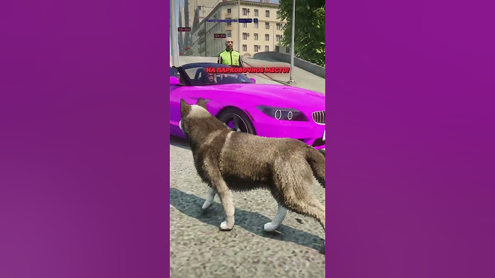 СОБАКА НА МОТОЦИКЛЕ ДПС в ГТА 5 РП (GTA 5 RMRP / Криминальная Москва)