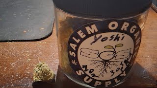 Yoshi THCA Flower From Salem Organic Supply Blaze Session Review 