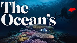 4+ HOURS of The Ocean’s Most Terrifying New Discoveries to Fall Asleep To