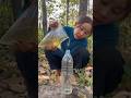 Survival Skills: easy methood savingwater transfer to bottle🫙🤗🥺#camping#bushcraft#water#smart