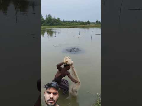 amazing net fishing #fishing #shorts #youtubeshorts